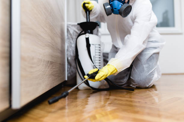 Best Pest Inspection Near Me  in Aho Falls, ID