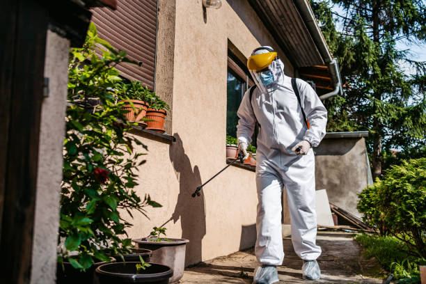 Best Pest Control Treatment  in Aho Falls, ID