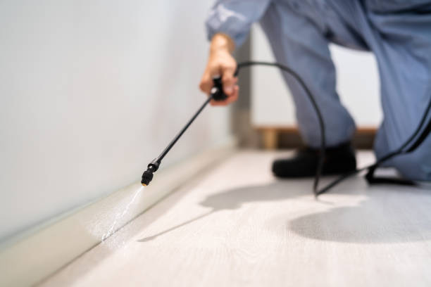 Professional Pest Control in Idaho Falls, ID