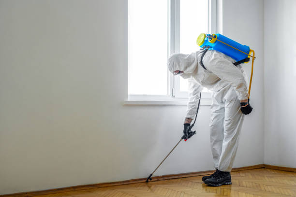 Best Pest Control Near Me  in Aho Falls, ID