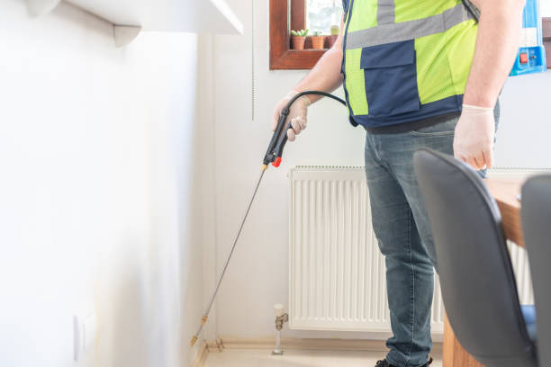 Flea Control Services in Idaho Falls, ID